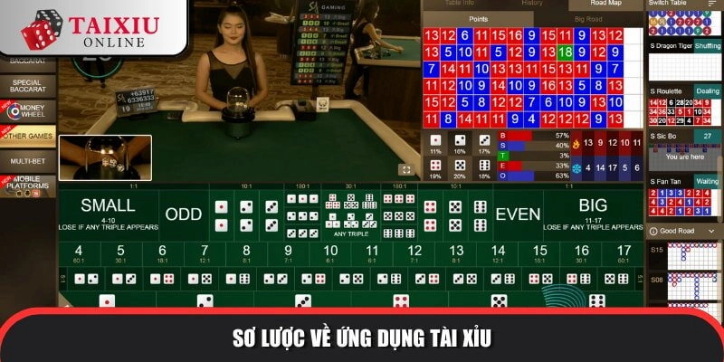 Sơ lược về ứng dụng sau khi tải game tài xỉu online